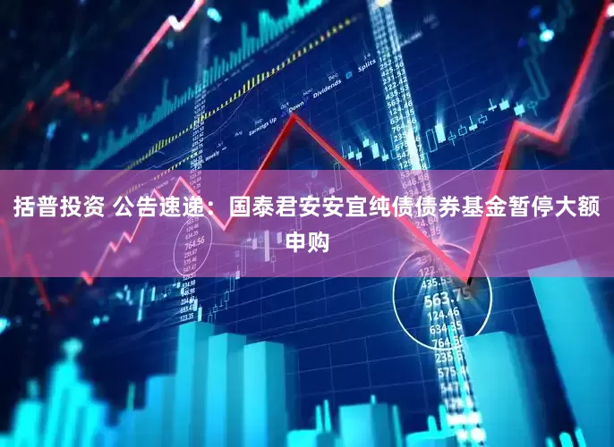 括普投资 公告速递：国泰君安安宜纯债债券基金暂停大额申购
