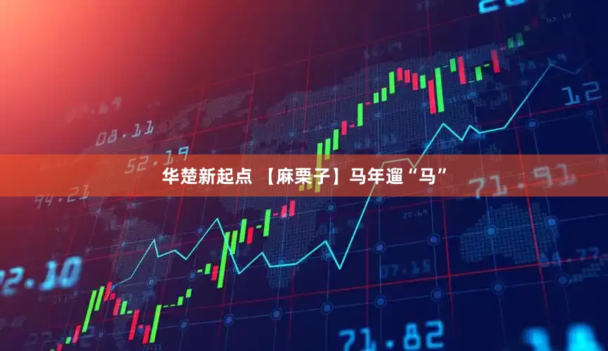 华楚新起点 【麻栗子】马年遛“马”